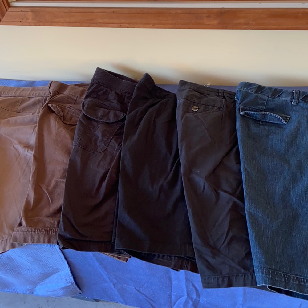 5 Pairs of Women’s Plus Size Shorts